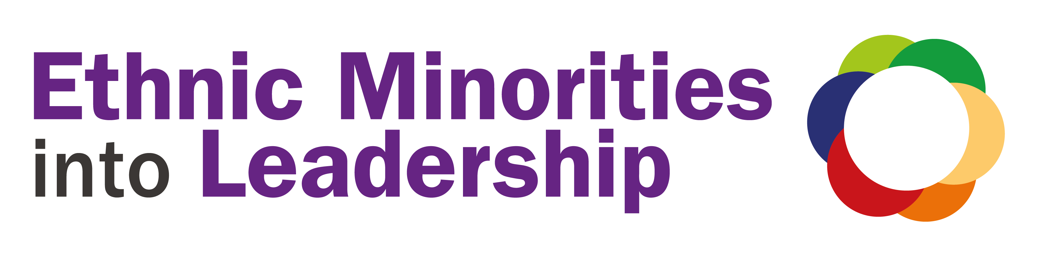 Ethnic Minorities into Leadership